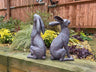 Large Moon - Gazing Hares - Brown - Backyard Bliss