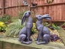 Large Moon - Gazing Hares - Brown - Backyard Bliss
