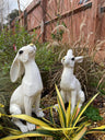 Large White Moon - Gazing Hares Ornament Set - Backyard Bliss