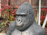 Life - Size Gorilla Statue - Backyard Bliss