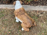 Life Size Johnson Bulldog - Backyard Bliss