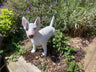 Life - Size Standing Bull Terrier - Backyard Bliss