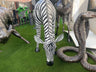 Lifesize Zebra - Backyard Bliss