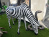 Lifesize Zebra - Backyard Bliss