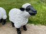 Lovely Lambs - Backyard Bliss