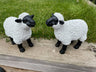 Lovely Lambs - Backyard Bliss