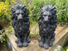 Majestic Lion Set - Backyard Bliss