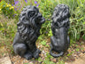 Majestic Lion Set - Backyard Bliss