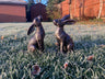 Medium Bronze Moon - Gazing Hares Ornament Set - Backyard Bliss