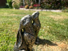 Medium Star Gazer Hares - Backyard Bliss