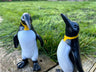 Mini Penguins Ornaments - Backyard Bliss