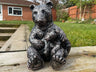 Mother Bear and Cub - Backyard Bliss