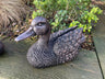 Pair of Bronze Ducks - Backyard Bliss