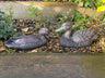 Pair of Bronze Ducks - Backyard Bliss