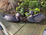 Pair of Bronze Ducks - Backyard Bliss