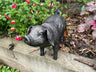 Pair of Bronze Pigs - Backyard Bliss