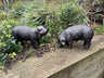 Pair of Bronze Pigs - Backyard Bliss
