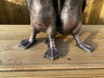 Pair of Ducks - Backyard Bliss