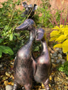 Pair of Mini Ducks - Backyard Bliss