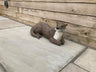 River Otter Ornament - Backyard Bliss