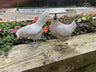 Rustic Roosters Garden Ornament Set - Backyard Bliss