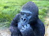 Sitting Gorilla Ornament - Backyard Bliss