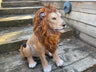 Sitting Lion - Backyard Bliss