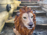 Sitting Lion - Backyard Bliss
