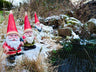 Three Cheeky Gnomes - Backyard Bliss