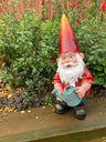 Watering Gnome and Joyful Gnome - Backyard Bliss