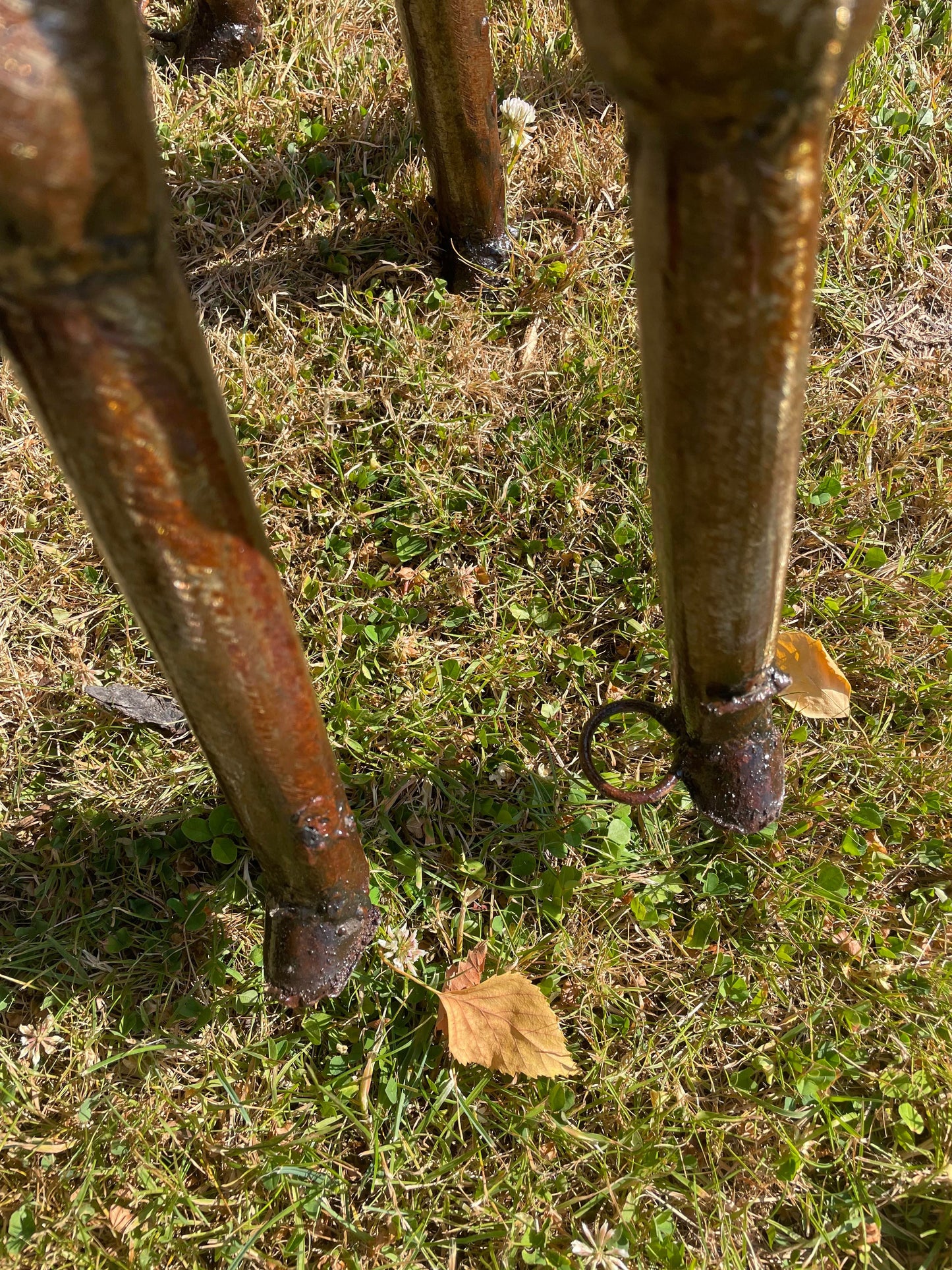 Gorgeous Giraffe Family Metal Set