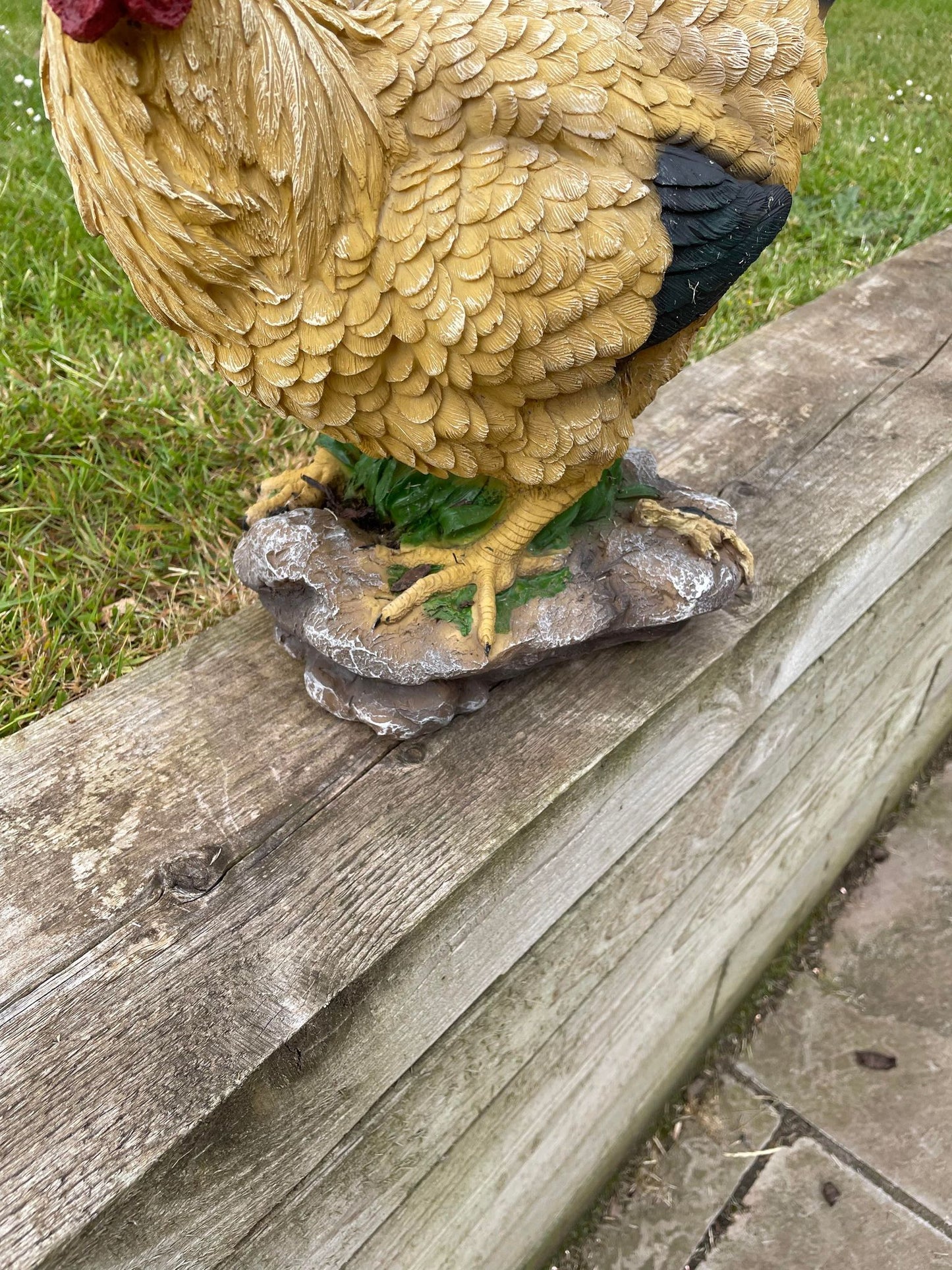 Golden Hen - Backyard Bliss