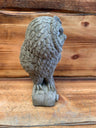 Owl on Log - Backyard Bliss