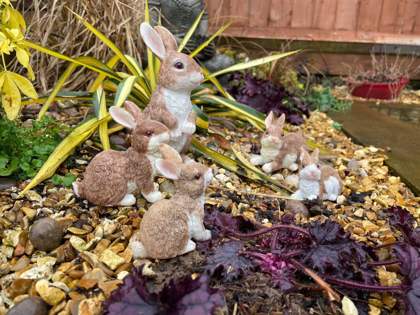 Rambunctious Rabbit Family - Backyard Bliss