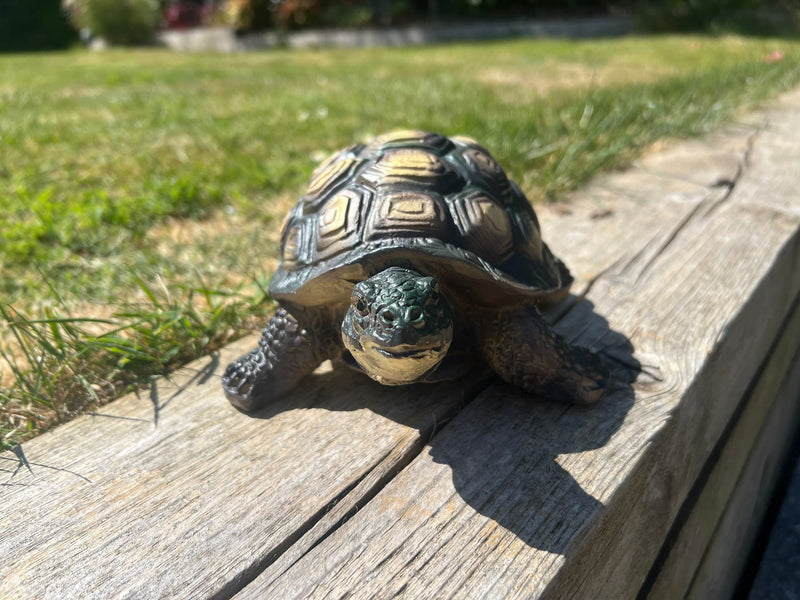 Our Pick of 7 Tortoise Garden Statues