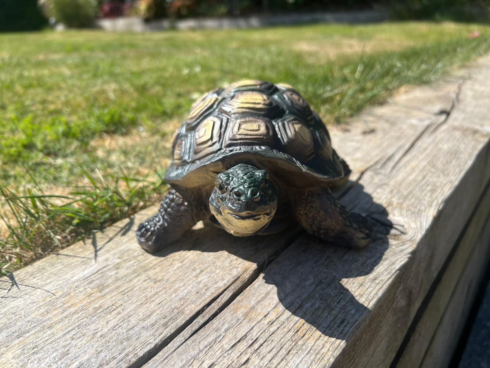 Reptile & Amphibian Garden Ornaments: Tortoises, Frogs, Lizards & Snails