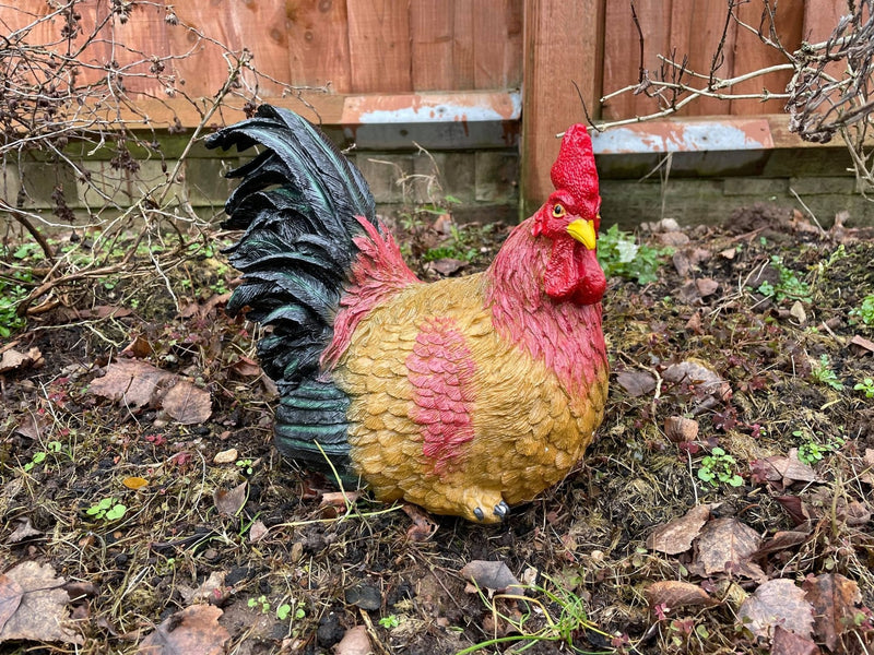 4 Chicken Garden Statues Worth Considering