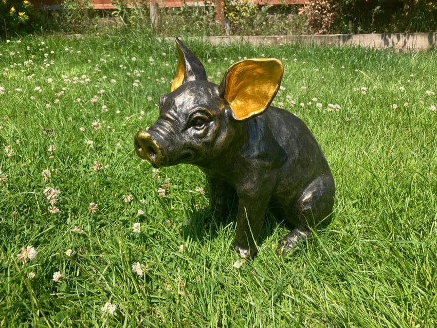 Garden Gifts Under £20: 15 Thoughtful Budget Picks