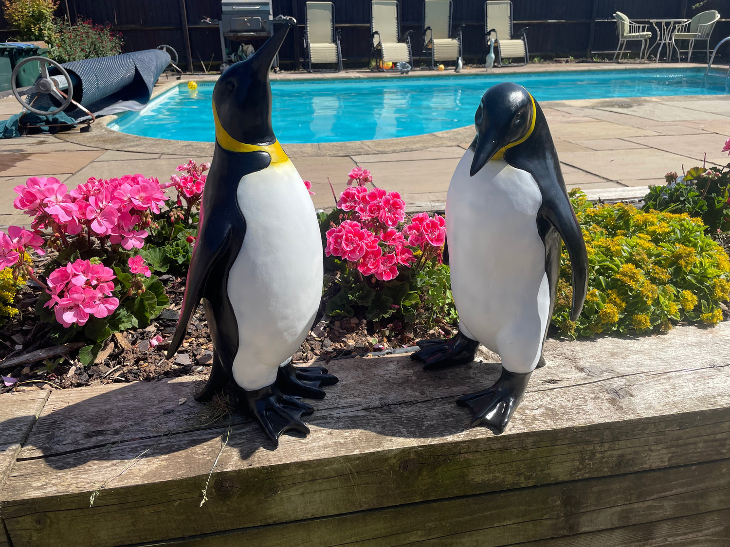 Top Sellers - Backyard Bliss 