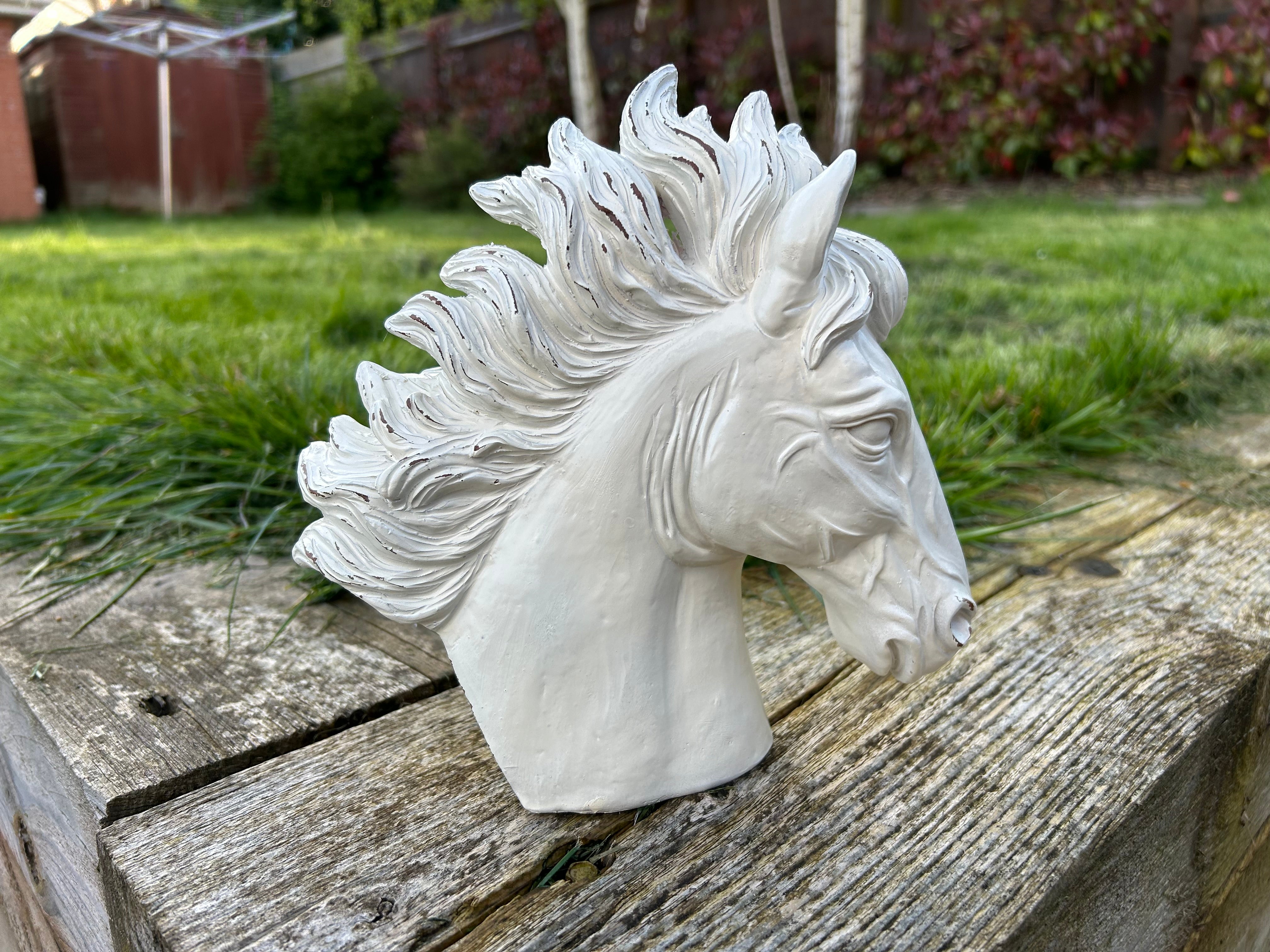 Stallion Heads