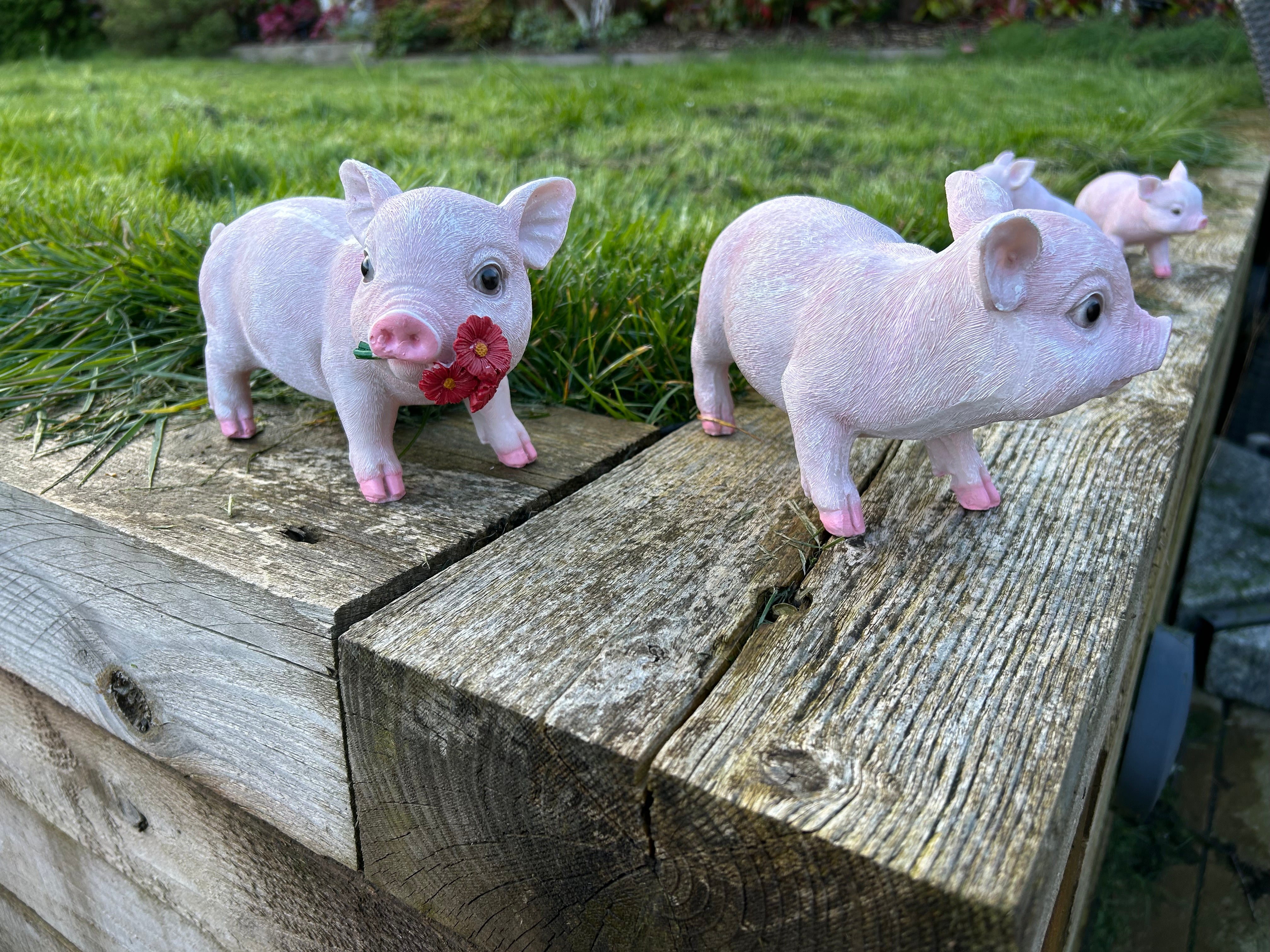 Pink Pig Family Ornament Set