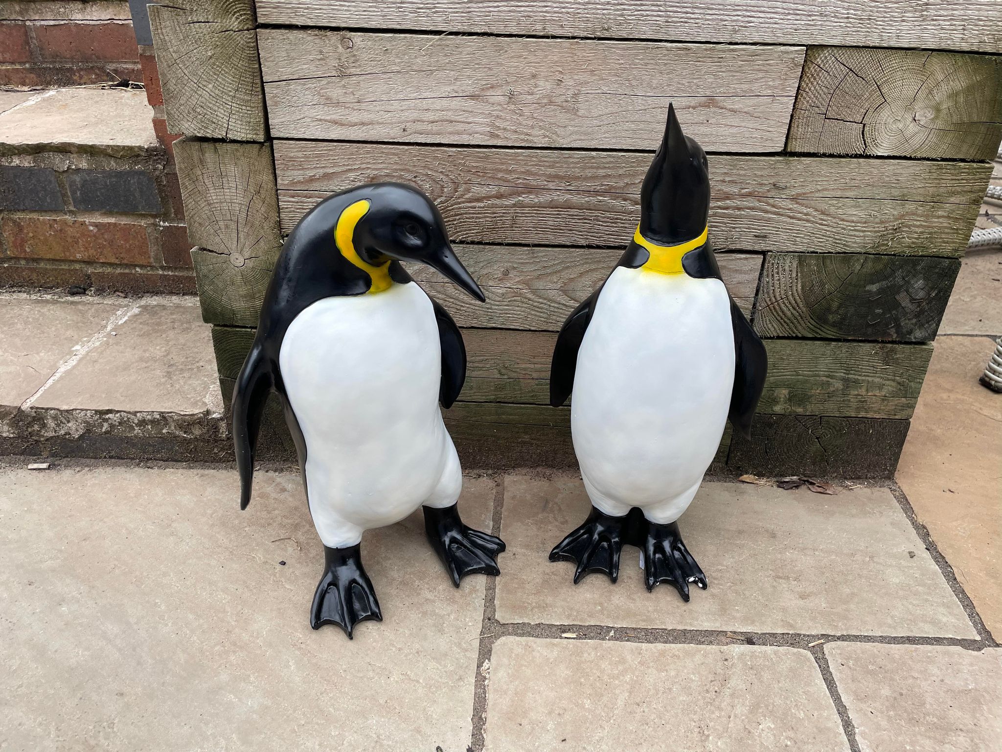 Emperor Penguin's