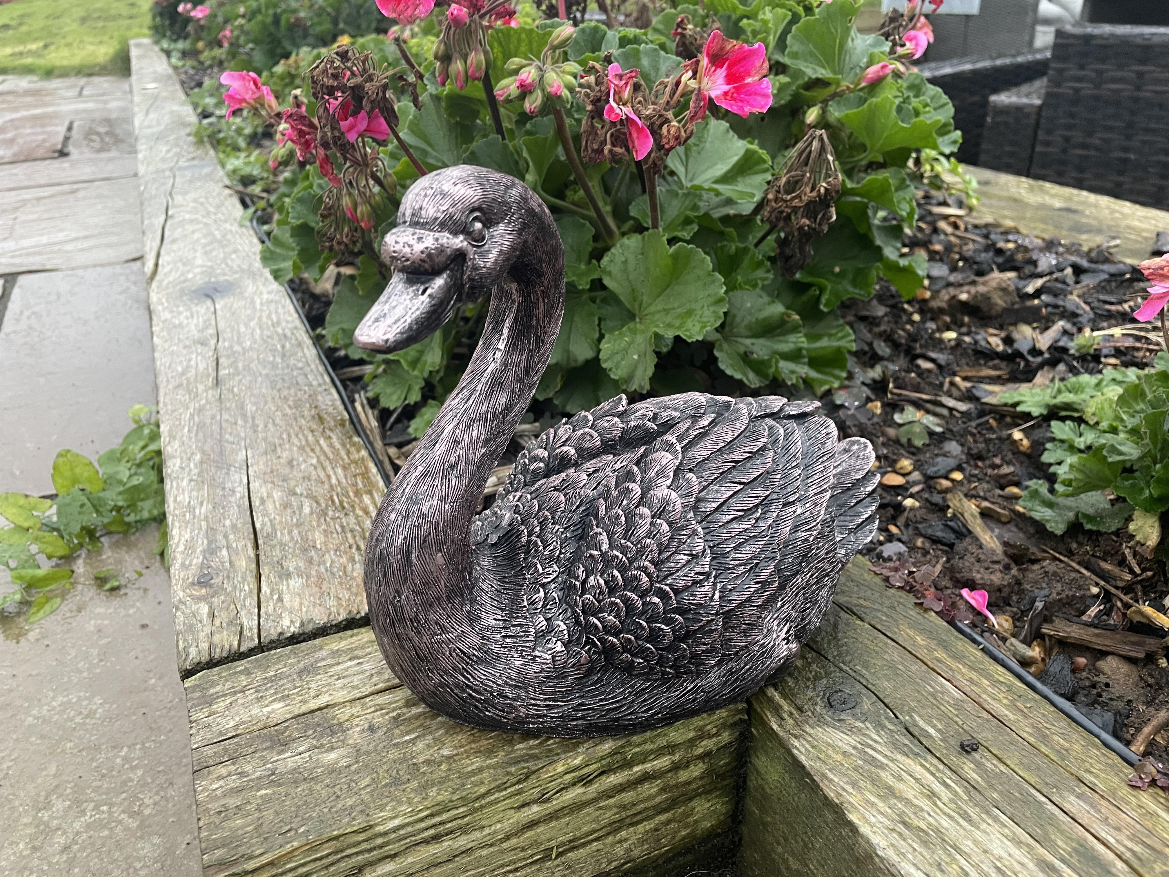 Classic Swan
