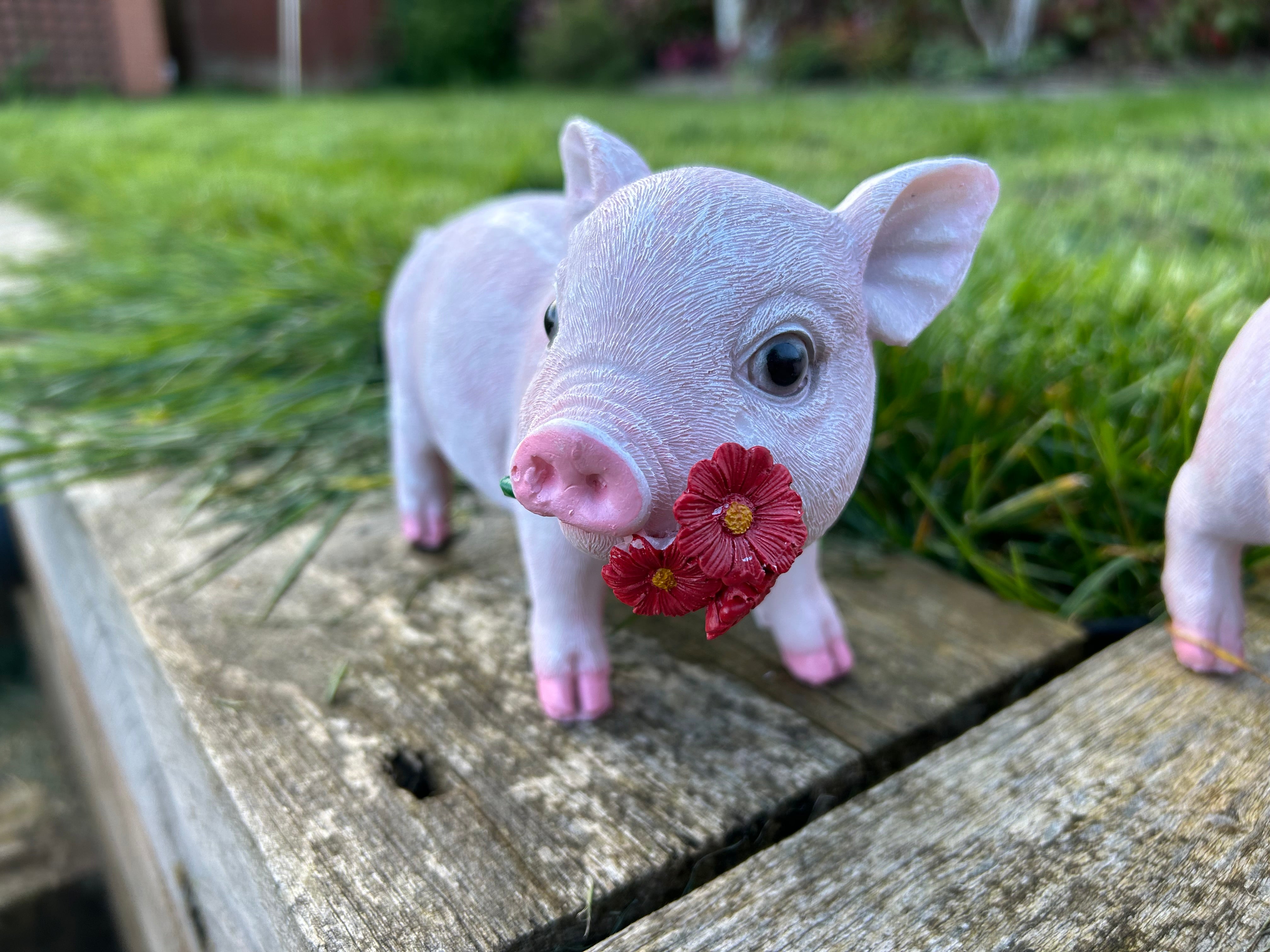 Pink Pig Family Ornament Set