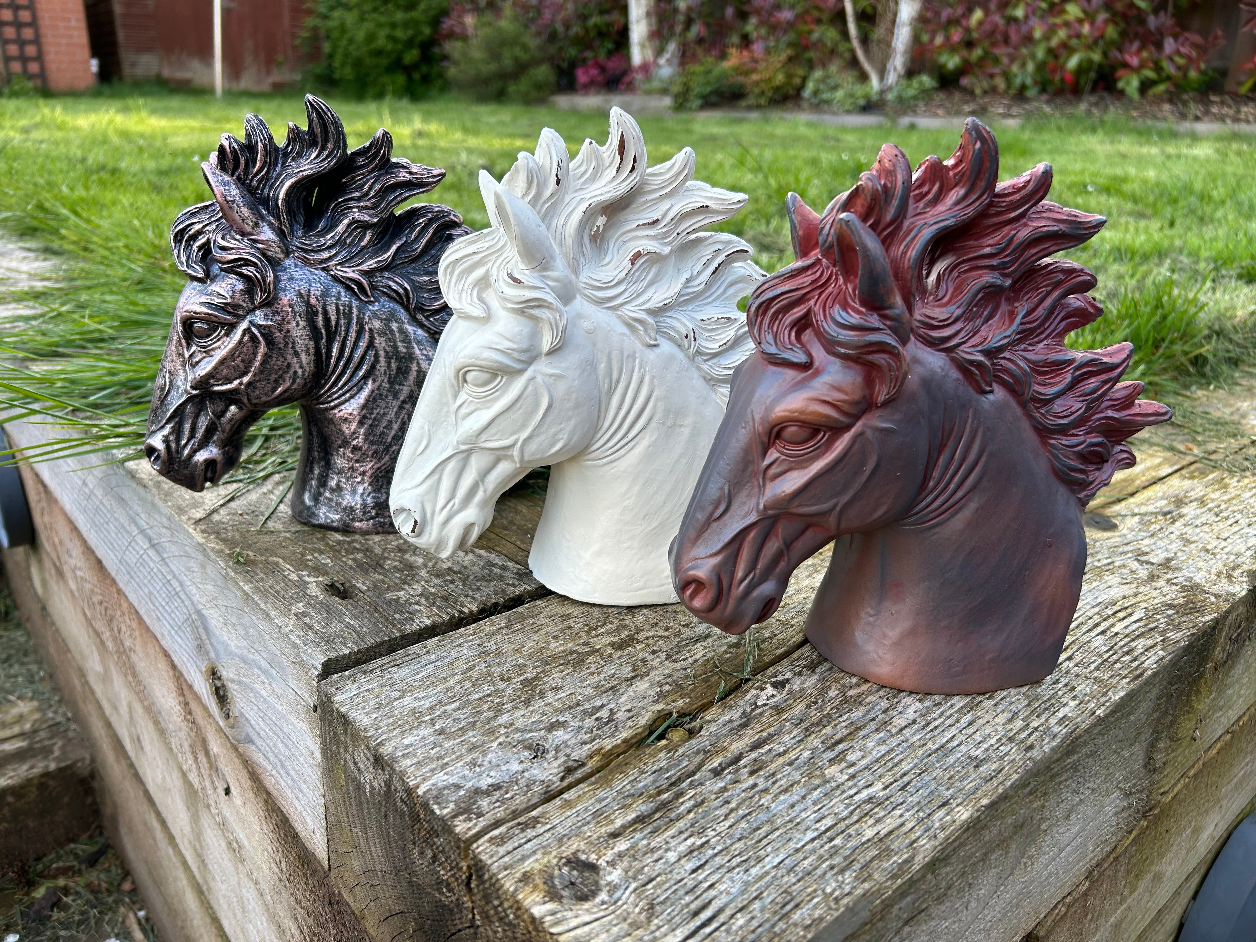 Stallion Heads