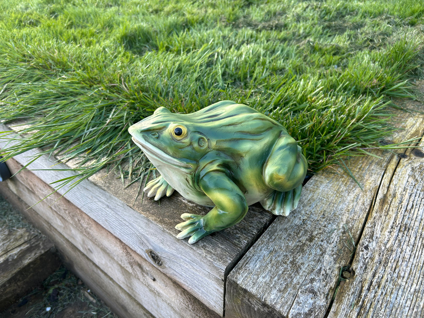 Gorgeous Green Frog Ornament