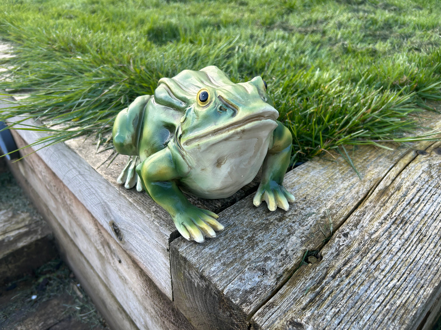 Gorgeous Green Frog Ornament