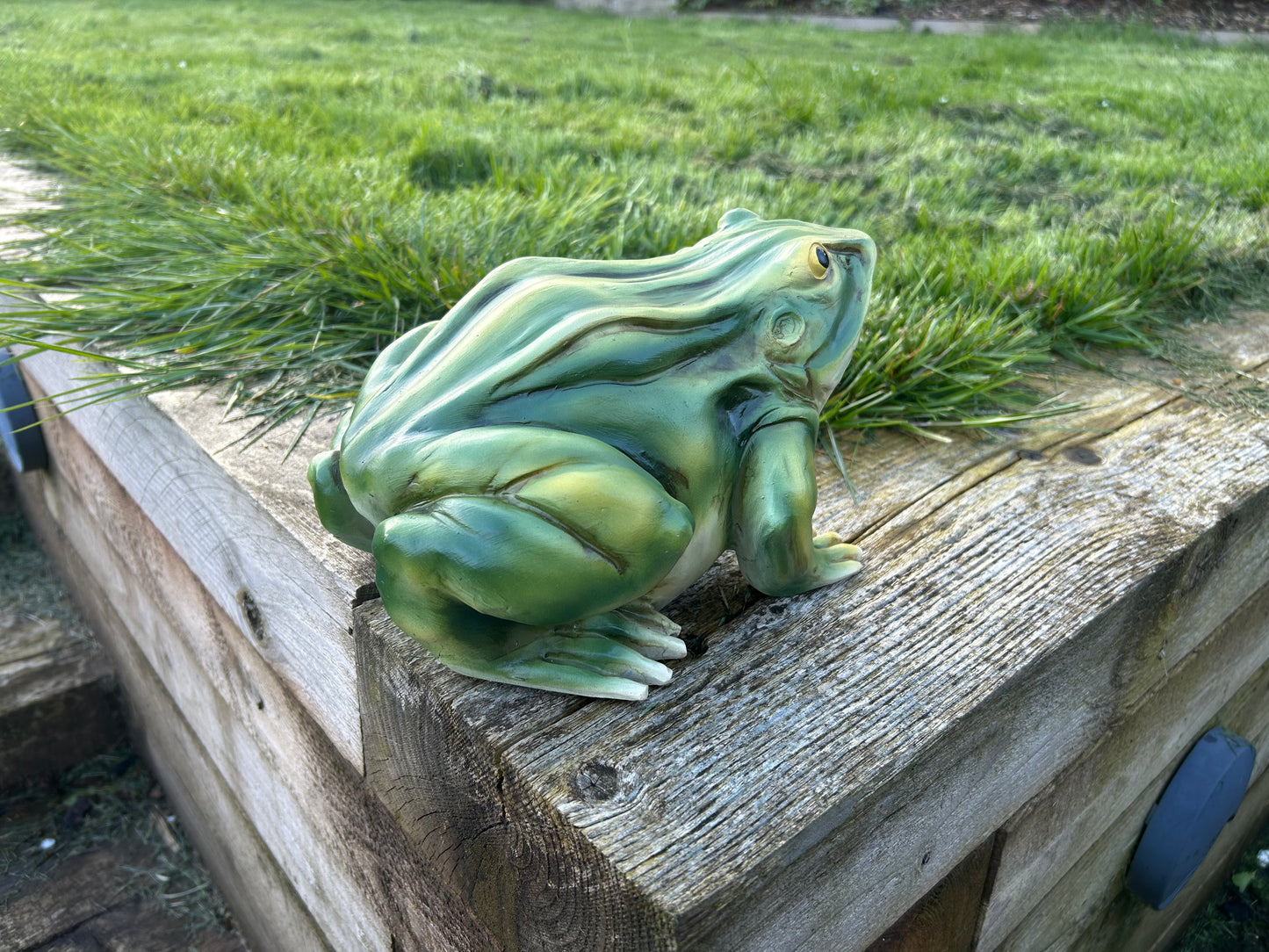 Gorgeous Green Frog Ornament