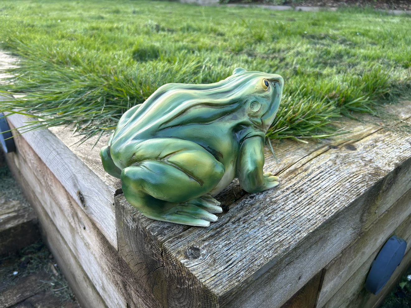 Gorgeous Green Frog Ornament