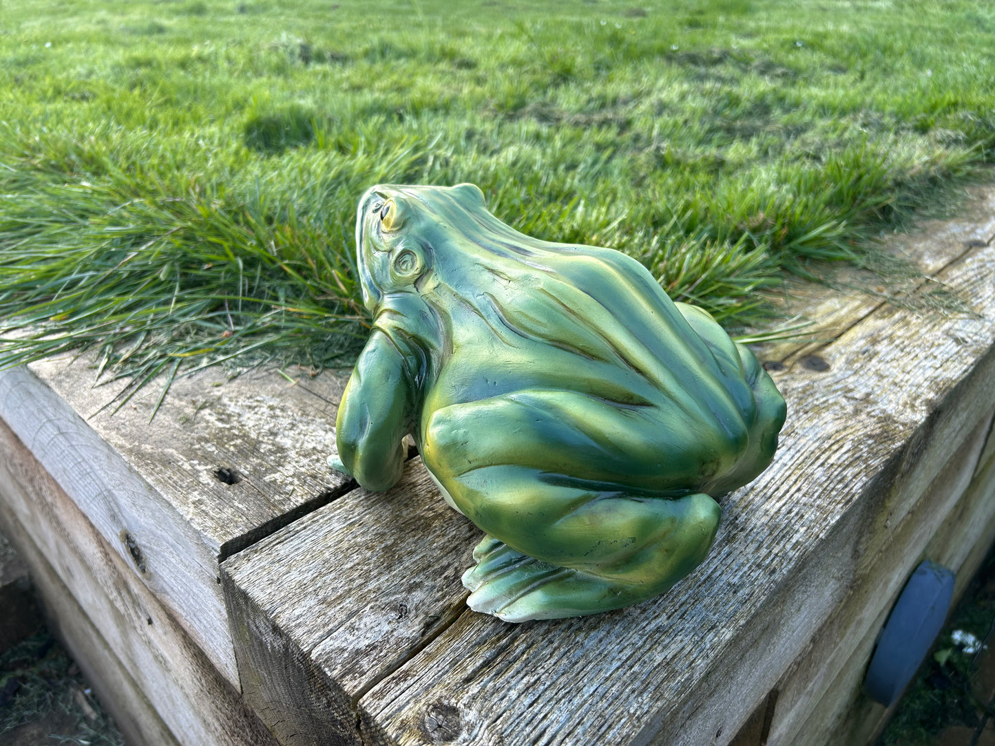 Gorgeous Green Frog Ornament